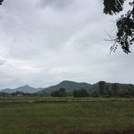 ร้านอาหารบ้านป้านอม บ้านค่าย