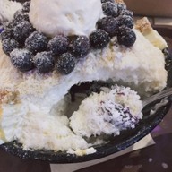 Snow Tree เมเจอร์ ปิ่นเกล้า