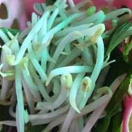 ก๋วยเตี๋ยวเรืออยุธยา