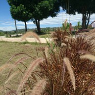 บรรยากาศ ค๊อฟฟี่อินภูธรรม