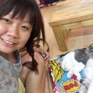 Hug Meow Cafe