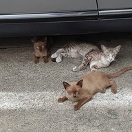 The Steam Room By เปาจึ