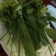 เมนูของร้าน ม.ปลาเผา