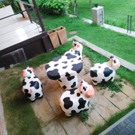 Moo Moo Cafe