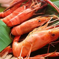 ตำเพลิน