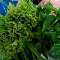 ขิงข่าตามสั่ง ก๊วยเตี๋ยวหมูน้ำใส