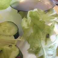 CoCo salad มีโชคพลาซ่า