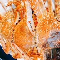 ชายเลซีฟู้ด