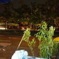 อร่อยดี เนื้อตุ๋น