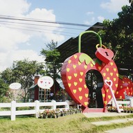 หน้าร้าน Love Strawberry Pai