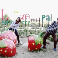 บรรยากาศ Love Strawberry Pai