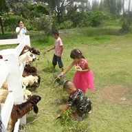 บ้านทิวสน