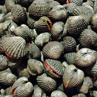 เมนูของร้าน Le'ley