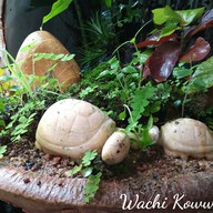 บรรยากาศ บ้านทอฝัน