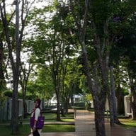 4K Restaurant  X2 Samui