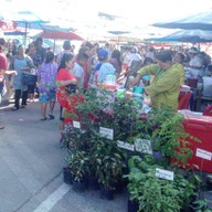 บรรยากาศ ตลาดนัดสวน 200 ปี