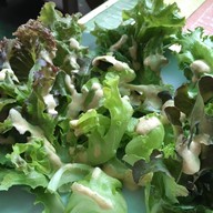 บ้านรักผักน้ำ