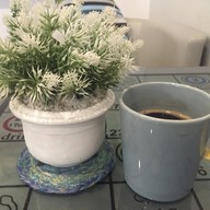 Blue Tree Coffee Bar สะพานผ่านฟ้าฯ