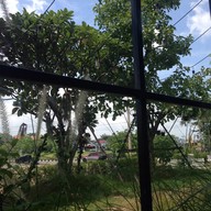 หน้าร้าน In The Garden