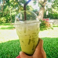 แกะดำฉำฉา