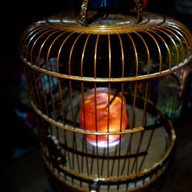 เมนูของร้าน Sing Sing Theater