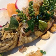 เมนูของร้าน โครงการหลวงดอยอินทนนท์ (Royal Project Inthanon)