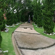 บรรยากาศ Cat Cafe Chiang Rai
