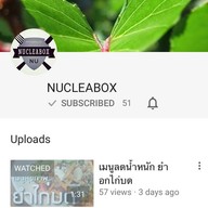 NUCLEABOX