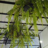 บรรยากาศ Once upon a time