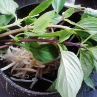 เมนูของร้าน ก๋วยเตี๋ยวเรือชามกะลา