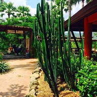 บรรยากาศ small farm