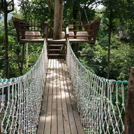 Vienna Coffee @pongyang