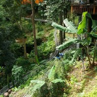 บรรยากาศ Vienna Coffee @pongyang