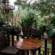 บรรยากาศ Vienna Coffee @pongyang