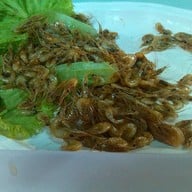 เมนูของร้าน ชาญชัย ลาบยโสธร