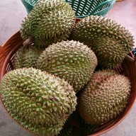 ทุเรียน 39 บาท