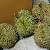 ทุเรียน 39 บาท
