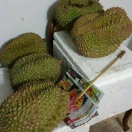 ทุเรียน 39 บาท