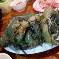 ชาบู Fin