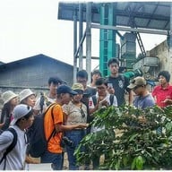 บรรยากาศ Doi Chang Coffee FARM
