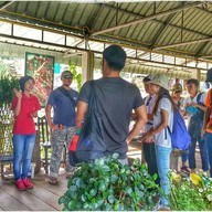 บรรยากาศ Doi Chang Coffee FARM