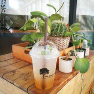 เมนูของร้าน Tree Corner Cafe' ท่าเรือ