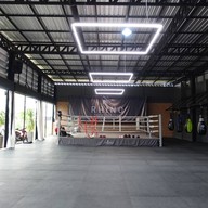 Rhino Thai Boxing
