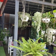 พักแพร่กาแฟสด