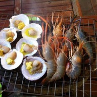 แซ่บปากกว้าง ราชพฤกษ์