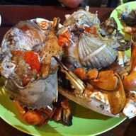 แซ่บปากกว้าง ราชพฤกษ์