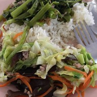 เมนูของร้าน โรงอาหาร อมช. มหาวิทยาลัยเชียงใหม่