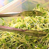 เมนูของร้าน ชาบูฮับ บุฟเฟ่ต์