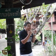 คอฟฟี่ซาวด์ 2499