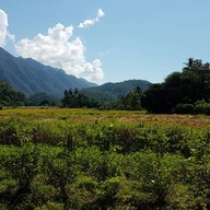 สวนอาหารชายทุ่ง